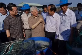 Tổng Bí thư, Chủ tịch nước thăm, làm việc tại Kiên Giang