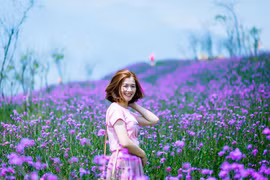 Cả đồi hoa tím đẹp ngỡ ngàng ở Fansipan, cần gì đi châu Âu ngắm lavender?