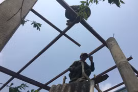 Quảng Bình: Lốc xoáy xảy ra liên tiếp gây thiệt hại nặng