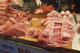 Hà Nội: Dịch tả Châu Phi có chiều hướng lây lan nhanh, phạm vi rộng, quy mô chăn nuôi lớn