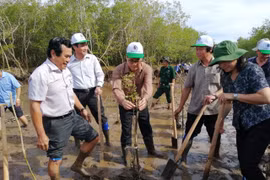 Bộ Tài nguyên và Môi trường phát động trồng rừng phòng hộ ven biển tại Bạc Liêu