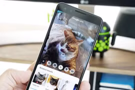 Ứng dụng Google Lens được bổ sung thêm nhiều bộ lọc mới