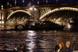 7 người Hàn Quốc thiệt mạng trong tai nạn chìm phà ở Budapest