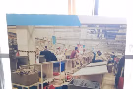 Thu nhập lao động ngành may Việt Nam đang không đủ sống