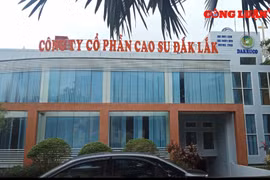 Nhiều bất thường trong đấu giá tài sản tại Công ty CP Cao su Đắk Lắk