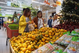 Tìm cách hạn chế nông sản Việt xuất khẩu qua thương hiệu nước ngoài