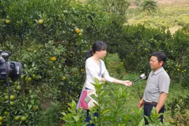 “Vị ngọt” của nghề là được cống hiến cho vùng đất mình đang sống