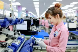 Để doanh nghiệp Việt lớn mạnh: Rất cần đôi tay nâng đỡ của Nhà nước