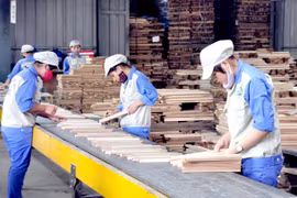 CPTTP mở ra nhiều cơ hội cho ngành chế biến gỗ