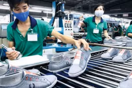 Hệ sinh thái khởi nghiệp đang phát triển mạnh mẽ
