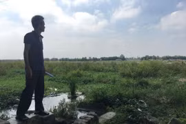 Bắc Ninh: Huyện Yên Phong thu hồi đất trồng lúa không có trong Nghị quyết của HĐND tỉnh?