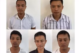 Vụ phá rừng đặc dụng ở Phong Nha - Kẻ Bàng: Khởi tố và bắt tạm giam thêm 6 đối tượng