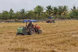 Cà Mau: U Minh vượt khó tạo bức tranh tươi sáng