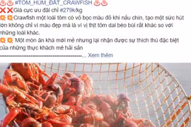 Kiểm tra, làm rõ về tình trạng tôm hùm đất bị cấm vẫn được bày bán
