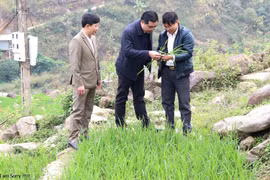 Huyện Mù Cang Chải: Thực hiện chương trình với quyết tâm chính trị và nỗ lực cao nhất