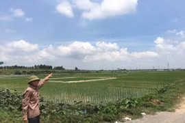 Tỉnh chưa ra văn bản điều chỉnh, huyện Yên Phong vẫn “đè” người dân ra cưỡng chế?