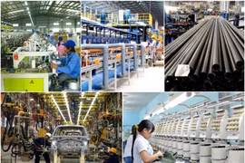 Khi doanh nghiệp phải tự minh oan: Cần sự minh bạch từ chính sách