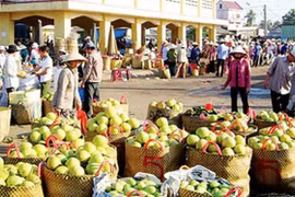Chặn đà giảm tốc xuất khẩu hàng nông thủy sản sang Trung Quốc