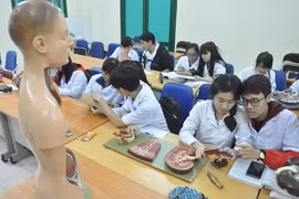Người hành nghề khám, chữa bệnh phải tham gia kỳ thi quốc gia