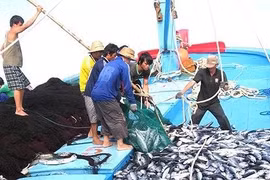 Chống đánh bắt cá bất hợp pháp là nhiệm vụ quan trọng hàng đầu