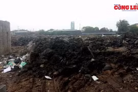 UBND huyện Gia Lâm chỉ đạo làm rõ việc đổ đất thải, đất bẩn vào dự án