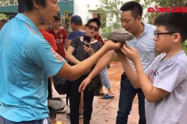 Trải nghiệm nông thôn cho trẻ em thành phố