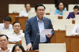 Chính phủ đề xuất kiểm toán chuyên đề giá điện của EVN trong năm 2019