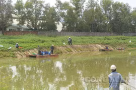 Quảng Nam: Nhà máy cồn gây ô nhiễm cam kết giải phóng hàng tồn kho trong vòng 15 ngày
