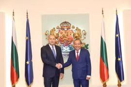 Phó Thủ tướng Trương Hòa Bình hội kiến Tổng thống Bulgaria