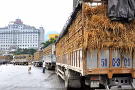 Các DN trong nước khi giao dịch, kinh doanh tại thị trường Trung Quốc cần thông qua hệ thống các thương vụ