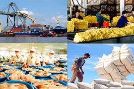 Tổng kim ngạch xuất khẩu nông, lâm, thủy sản 10 tháng ước đạt hơn 59 tỷ USD