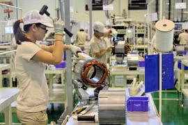 TP. HCM: 6 tháng đầu năm thu hút FDI đạt 3,21 tỷ USD