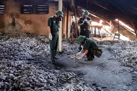 Lãnh đạo Công ty bóng đèn phích nước Rạng Đông bị tố che giấu sự thật