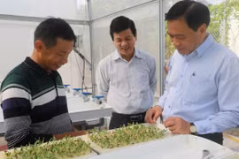 Đồng Tháp vượt khó để cải thiện môi trường đầu tư