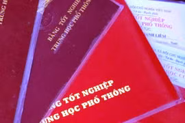 Nghệ An: Không có bằng cấp 3 vẫn làm Phó Chánh Văn phòng Huyện ủy