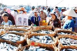 Trung Quốc “nới lỏng” chính sách nhập khẩu cho 33 mặt hàng thủy sản Việt Nam