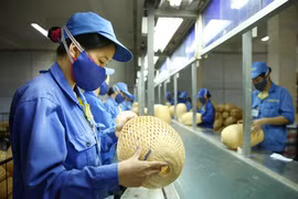 Thúc đẩy và đầu tư vào mô hình kinh doanh hướng tới người thu nhập thấp