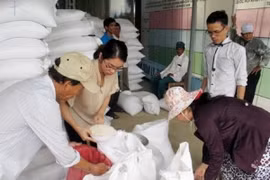 Thủ tướng quyết định xuất cấp gạo hỗ trợ nhân dân vùng lũ