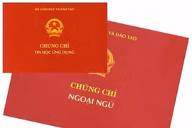 Bộ GD&ĐT yêu cầu gần 50 đơn vị dừng cấp chứng chỉ ngoại ngữ, tin học