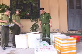 Quảng Ninh: Bắt giữ xe khách vận chuyển số lượng lớn động vật hoang dã quý hiếm
