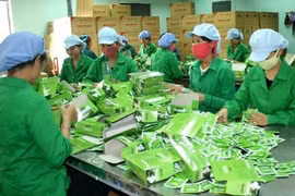 Chè Việt Nam đạt giá trị thấp vì 90% sản lượng xuất thô