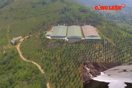 Đà Bắc (Hòa Bình): Người dân bức xúc vì Cty Phúc Hưng xả thải gây ô nhiễm