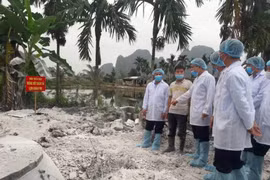 Hà Nội đã có 17 xã, phường không phát sinh dịch tả lợn châu Phi