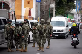 Mexico bắt giữ 31 thành viên băng đảng trong đợt truy quét mới