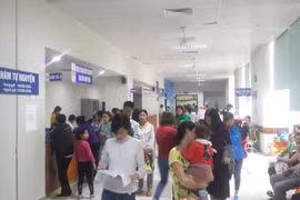 Hà Nội: Xuất hiện trường hợp đầu tiên mắc viêm não Nhật Bản