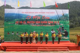 Rộn ràng Lễ hội giã cốm Tú Lệ