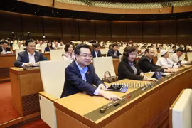 Không sử dụng bảo lãnh Chính phủ đối với vốn giai đoạn 1 sân bay Long Thành