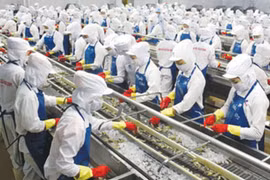 Nhiều điều kiện thuận lợi cho hàng Việt xuất khẩu sang Nga
