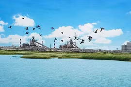 FHS Hà Tĩnh trồng 50.000 cây xanh che phủ 137 ha khuôn viên nhà máy