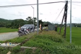 Xuất hiện ổ dịch tả lợn châu Phi đầu tiên ở Quảng Bình